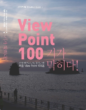 View Point 100 boardEdit37