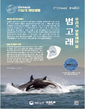 11월의 해양생물[범고래] boardEdit37