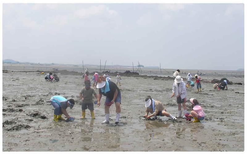 첨부파일