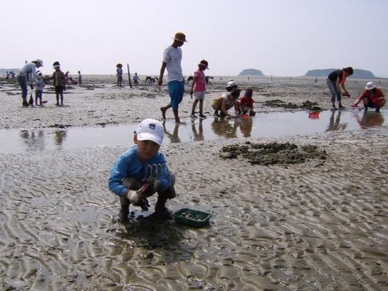 첨부파일
