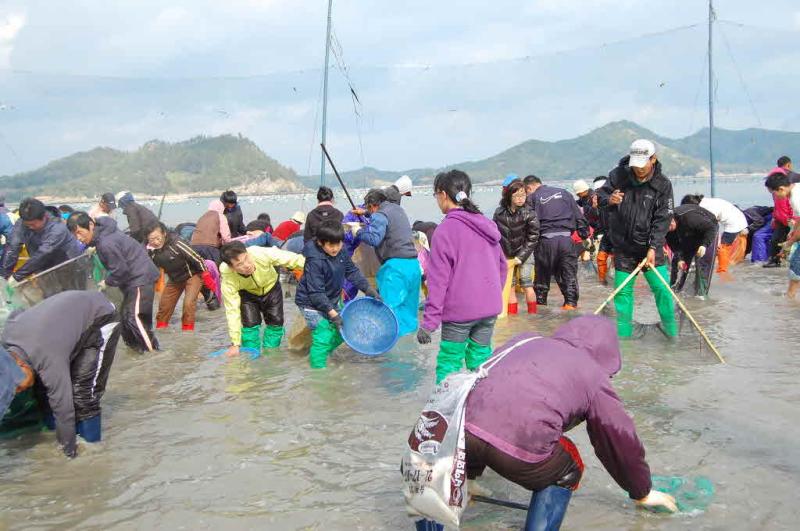 첨부파일
