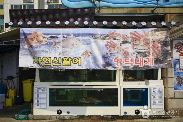 첨부파일