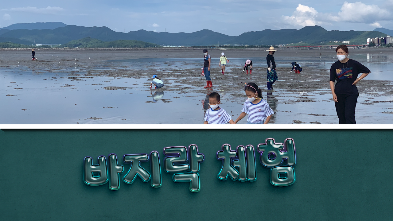 바지락캐기 체험