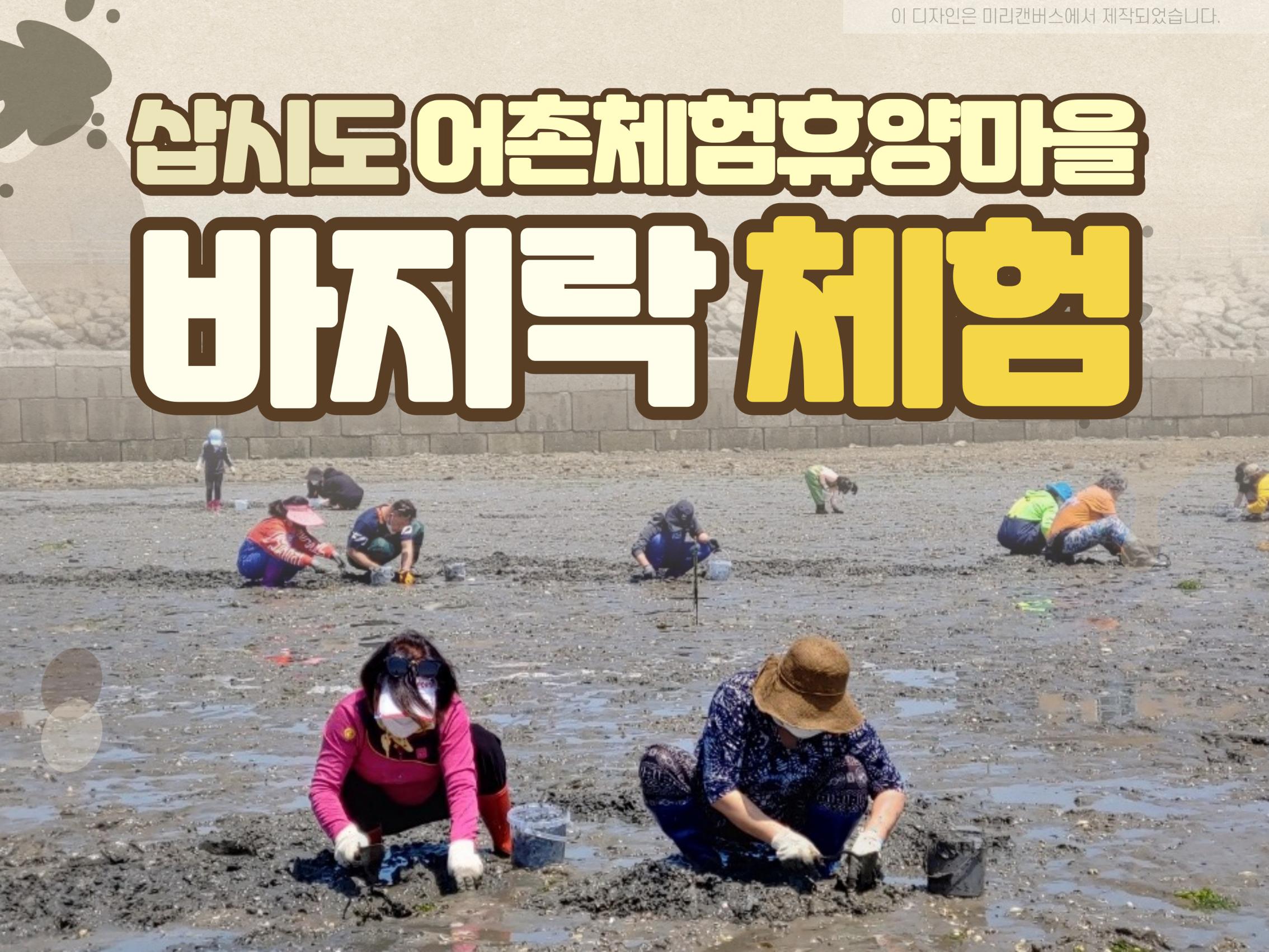 바지락체험