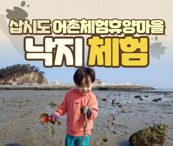낙지체험