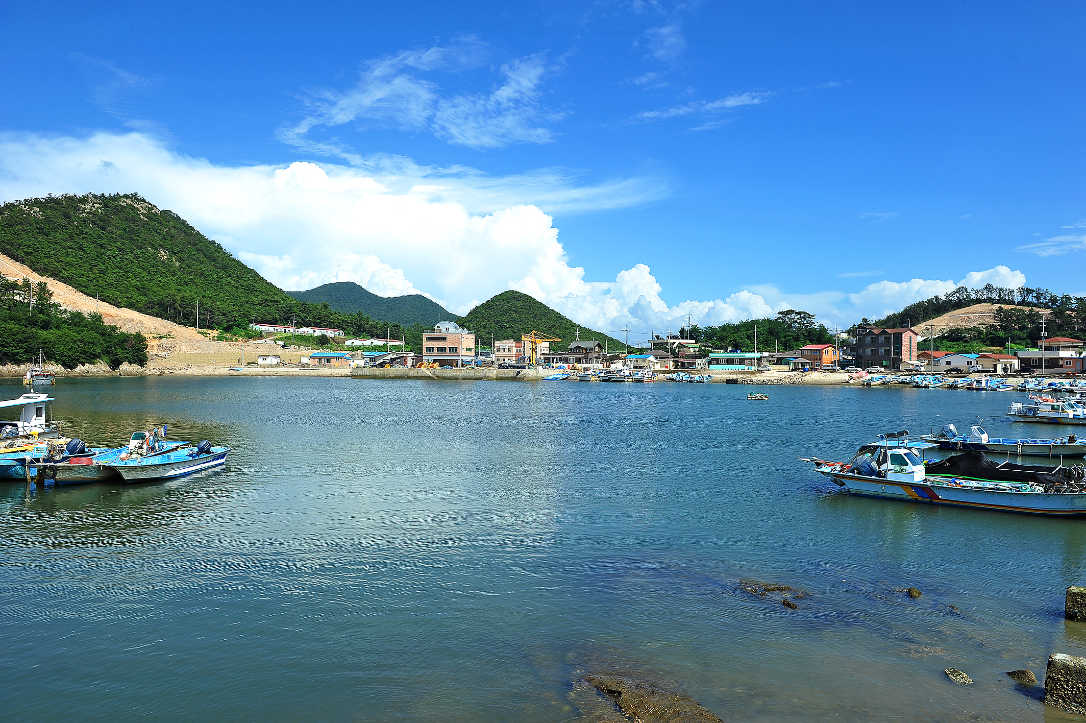 신시도어촌체험휴양마을