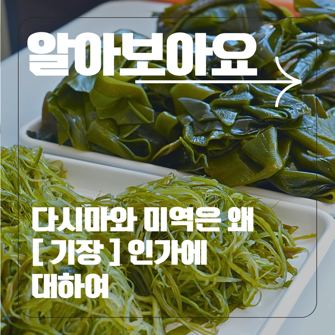[2024어촌관광 스마터즈] 공수어촌체험휴양마을 다시마와 미역