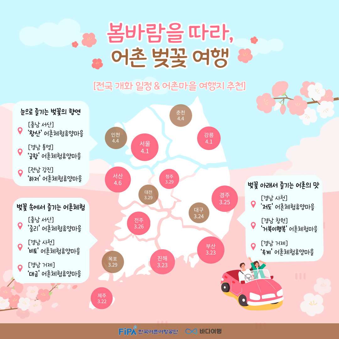 봄바람 따라 어촌 벚꽃 여행