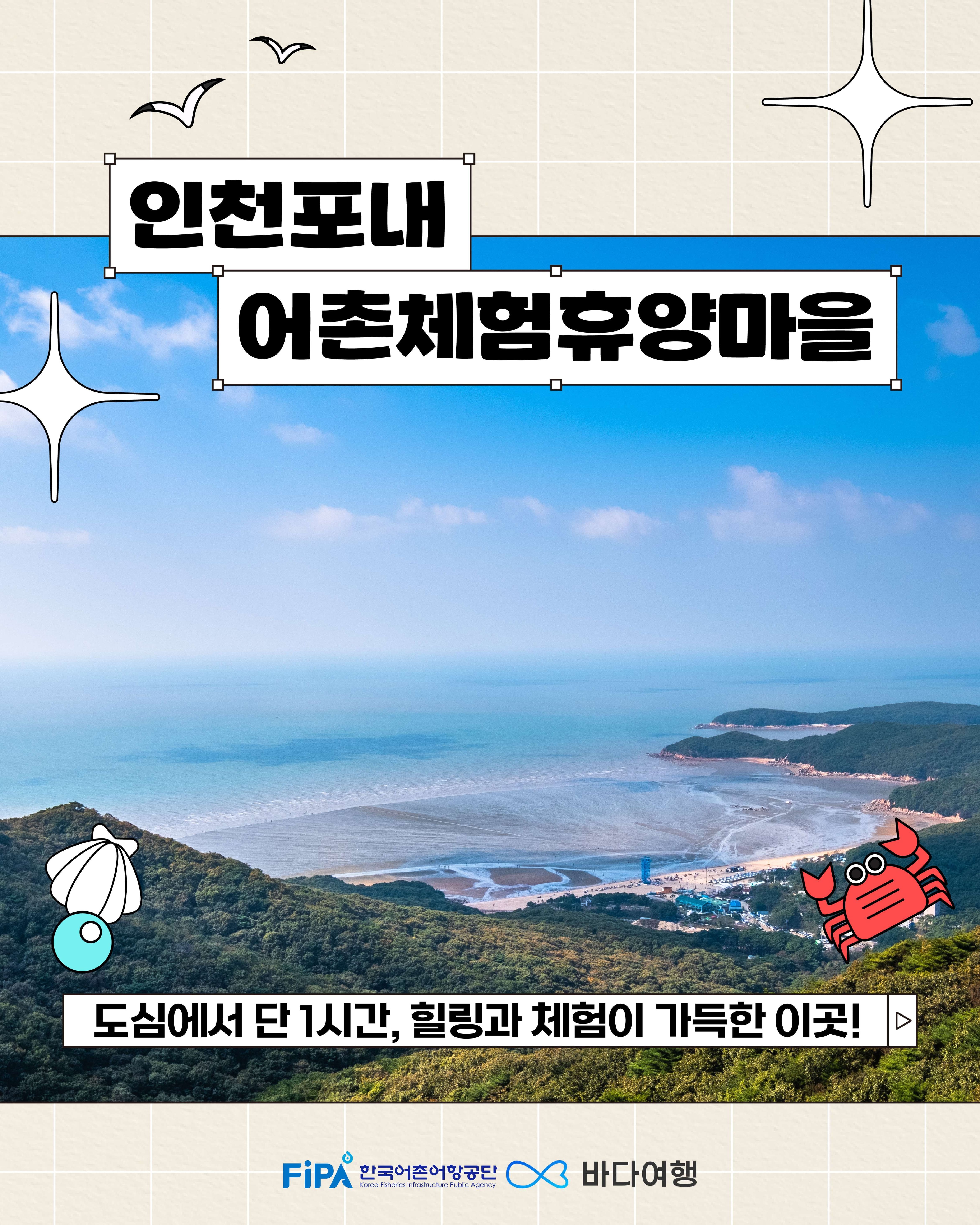 어촌 브리핑 [인천 포내마을]