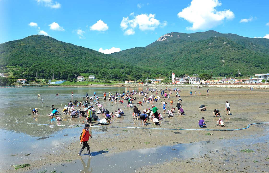 다대갯벌체험학습장