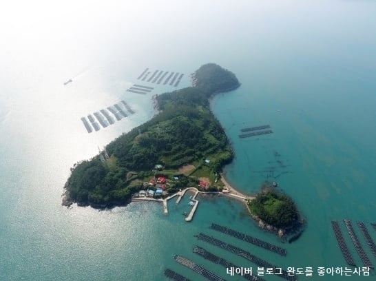 마삭도