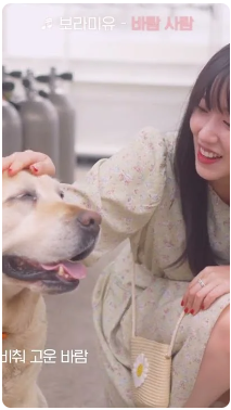 [어촌여행 숏폼영상] [감성숙박 시즌2] EP.11 바람사람 뮤비ver. (feat. 남애어촌체험휴양마을) #shorts