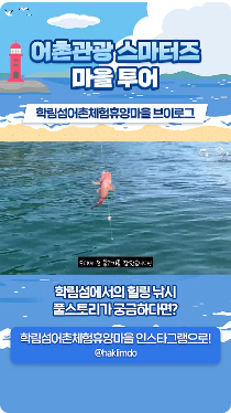 [어촌여행 숏폼영상] [어촌관광 스마터즈 마을투어] 학림섬어촌체험휴양마을
