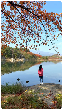 [어촌여행 숏폼영상] 가을 햇살 좋은 날, 단풍과 함께 하는 산책로! #영랑호 강원특별자치도 속초시 #장사어촌체험휴양마을