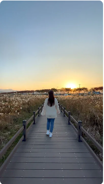 [어촌여행 숏폼영상] 노을과 금빛 갈대숲의 환상적인 조화 #남대천생태관찰로  강원특별자치도 양양군 #수산어촌체험휴양마을