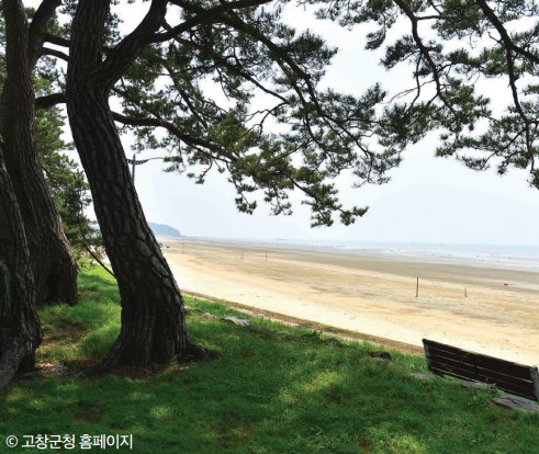 동호마을