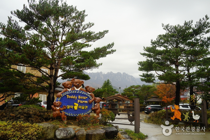 테디베어팜