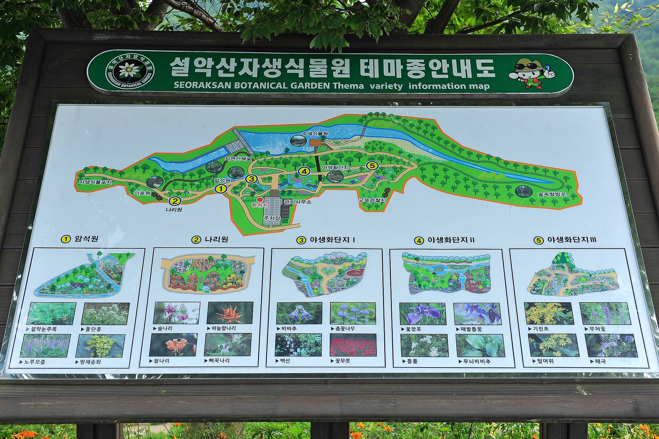 설악산자생식물원