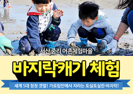 바지락캐기 체험