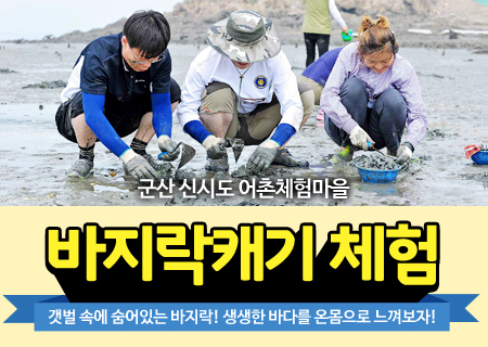 바지락캐기 체험