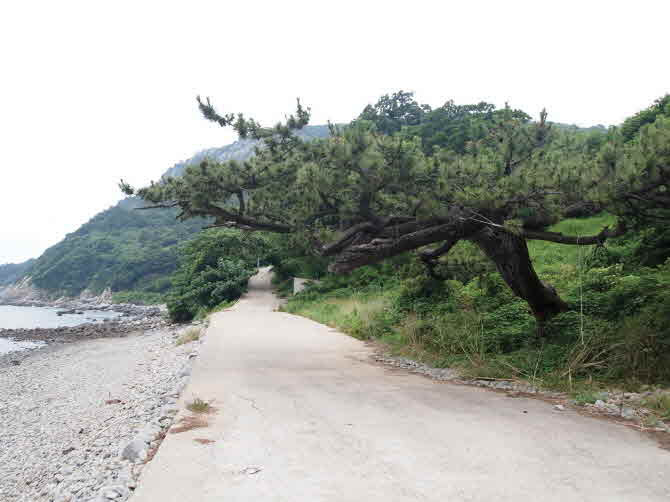 여수 금오도 비렁길