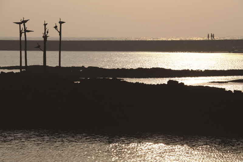 제주 한림읍 한수리