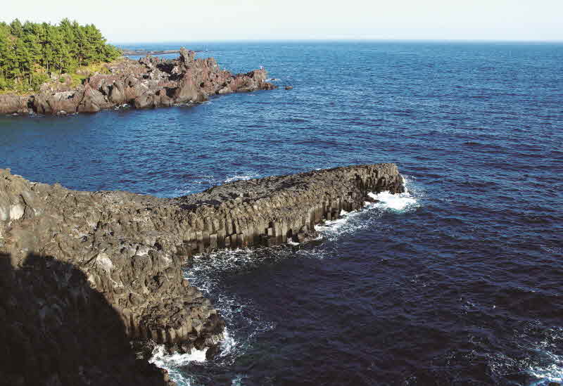 제주 서귀포 대포동