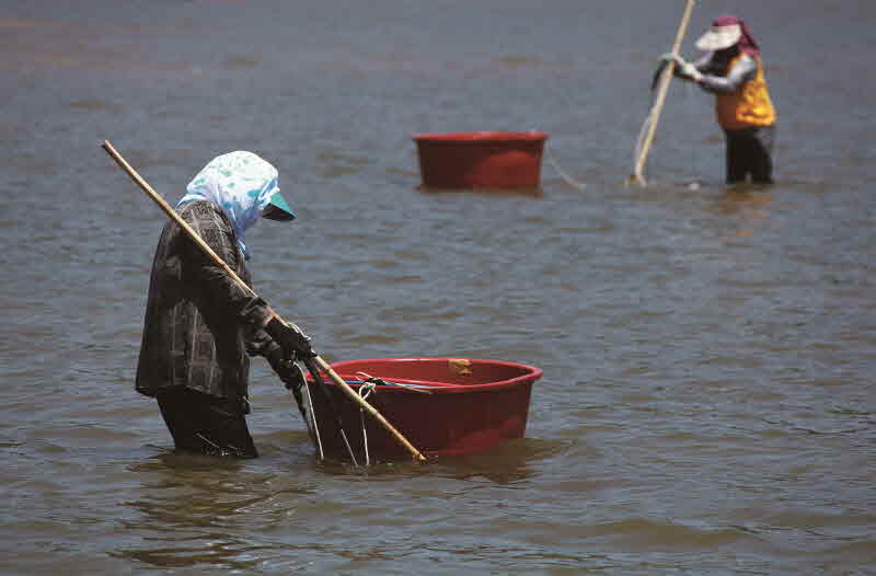 경남 하동 섬진강