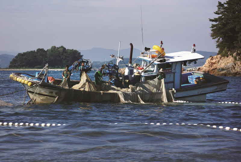 경남 통영 연화도
