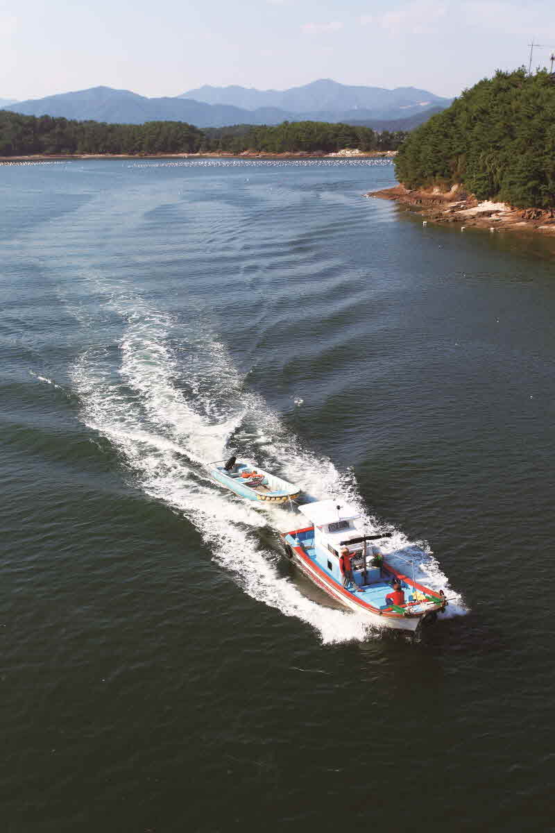 경남 창원 저도