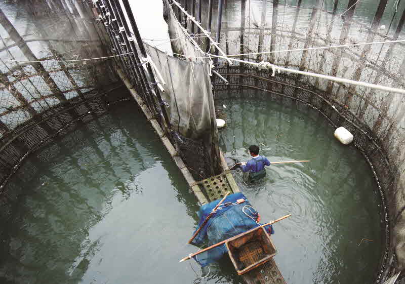 경남 남해 지족