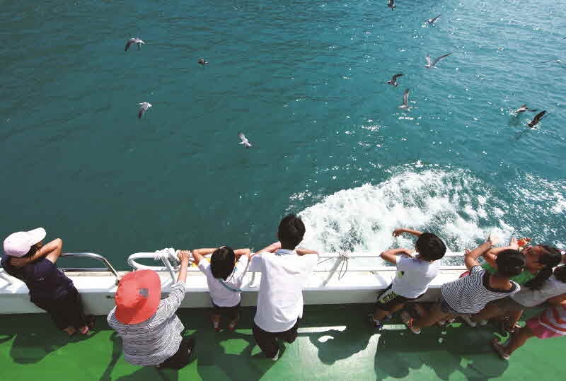 경남 거제 다대