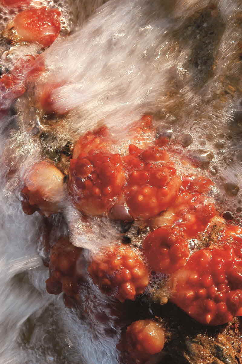 경북 포항 대보