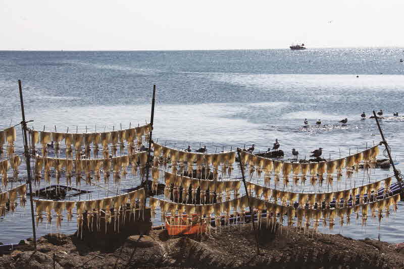 경북 포항 구룡포