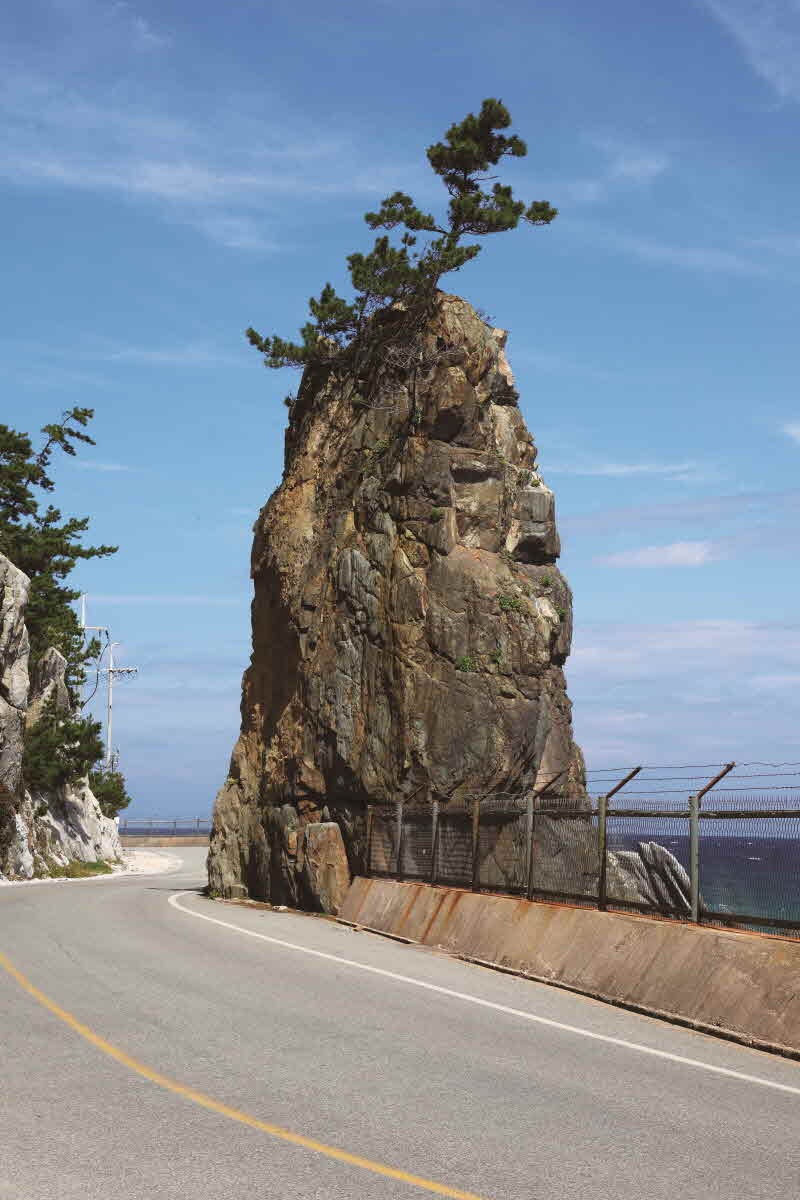 경북 울진 산포리