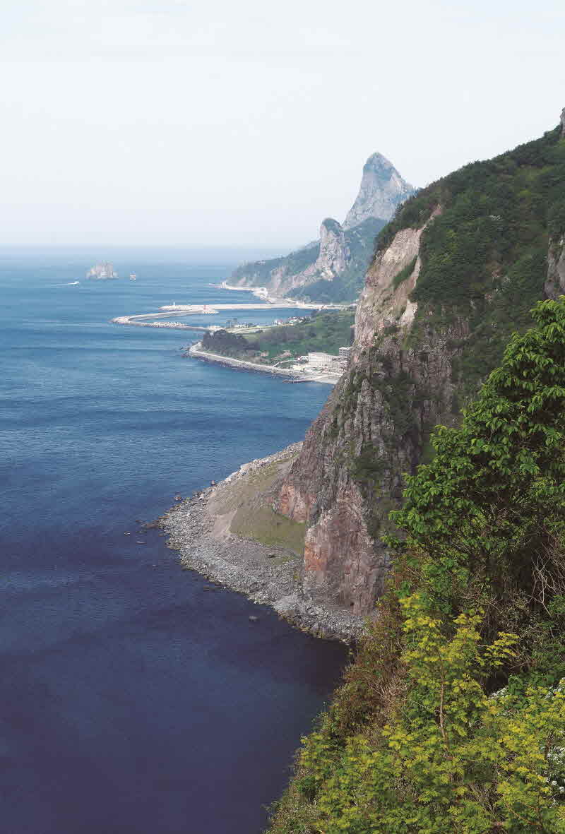 경북 울릉도 태하동