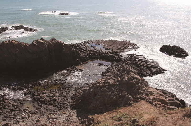 경북 경주 읍천