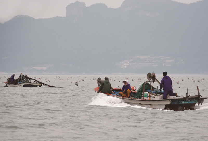 전남 진도 관매도
