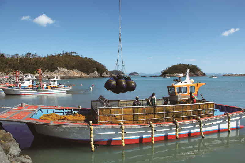 전남 진도 접도