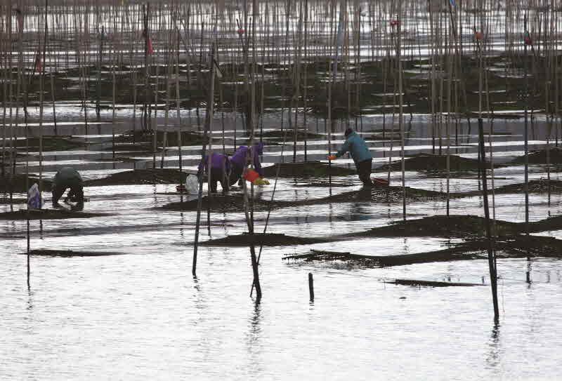 전남 장흥 내저