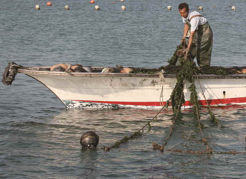 전남 완도 보길도