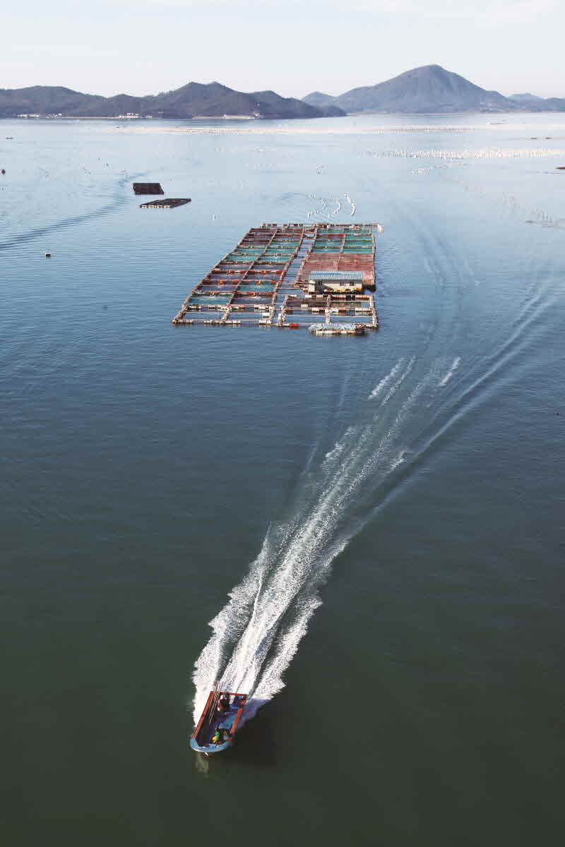 전남 완도 약산도