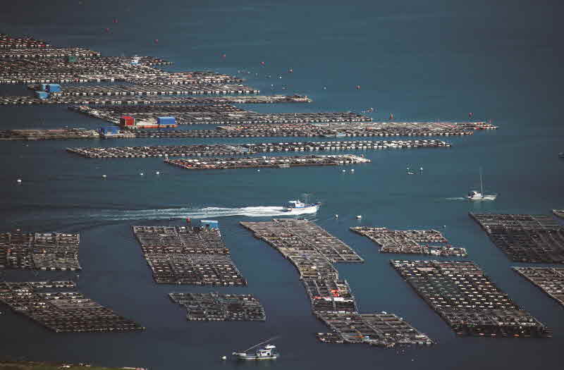 전남 신안 흑산？홍도