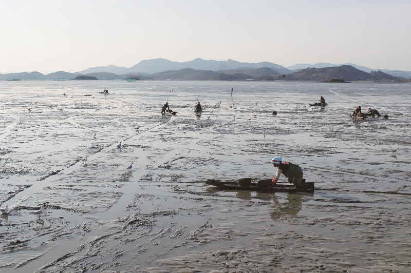 전남 벌교 장암