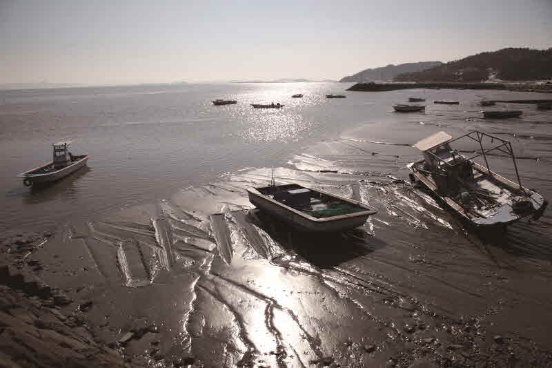 전남 무안 도리포