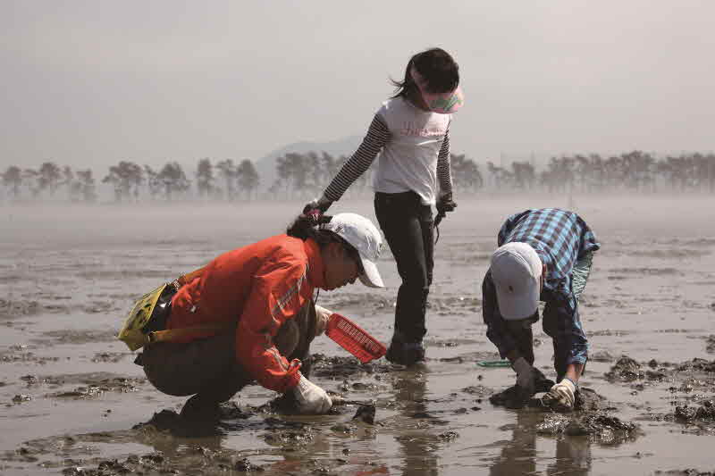 전북 고창 만돌
