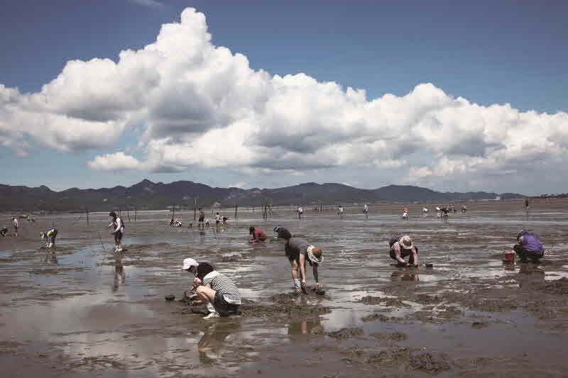 전북 고창 하전