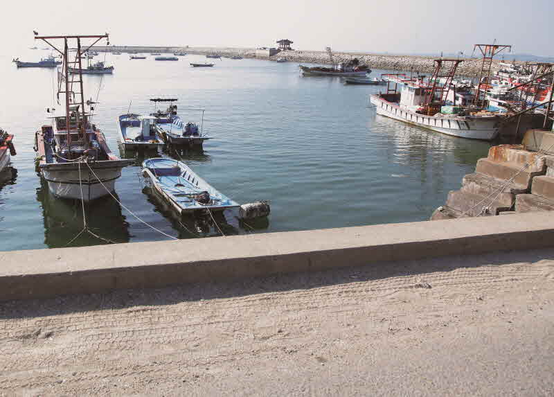 경기 화성 궁평항