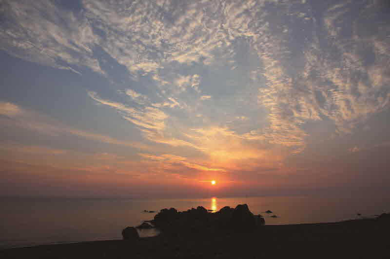 울산 동구 주전