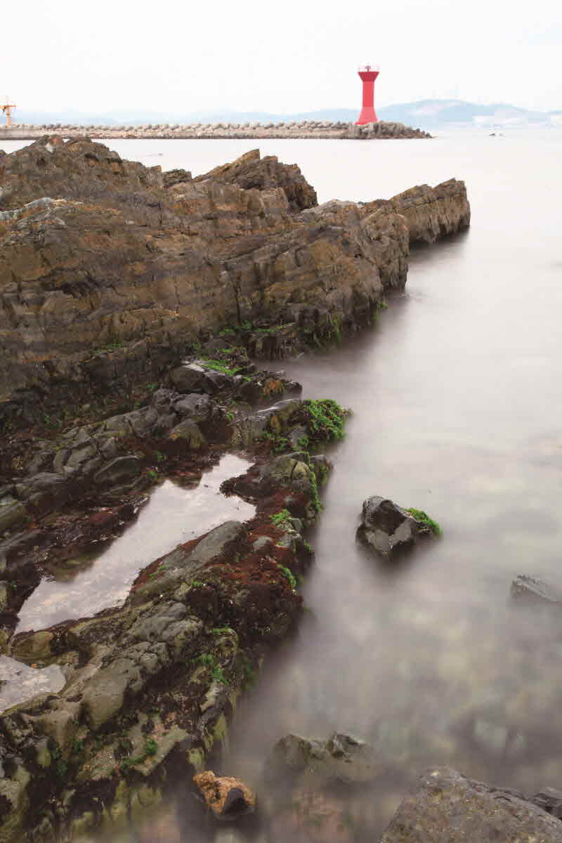 부산 기장 신평